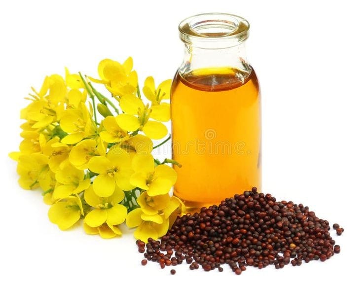 Mustard Essential Oil
